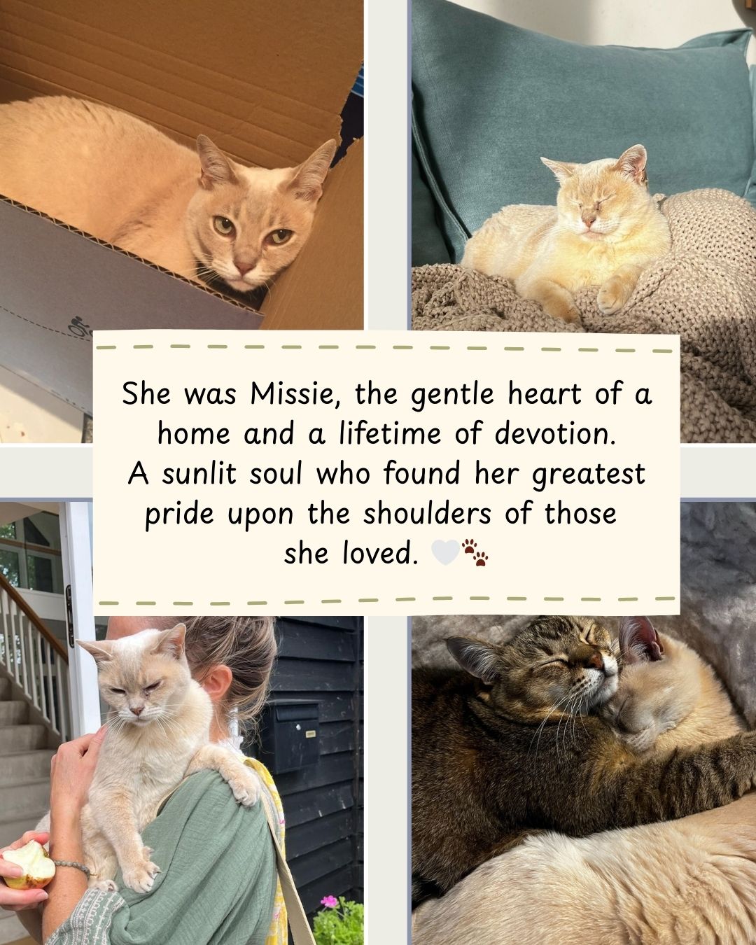 Custom Vintage Cat Tribute (Digital Delivery)