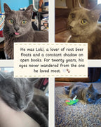 Custom Vintage Cat Tribute (Digital Delivery)