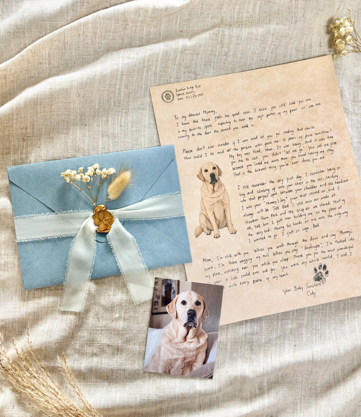 Personalized Letters From Your Pet Angel