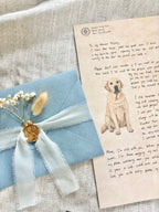 Personalized Letters From Your Pet Angel