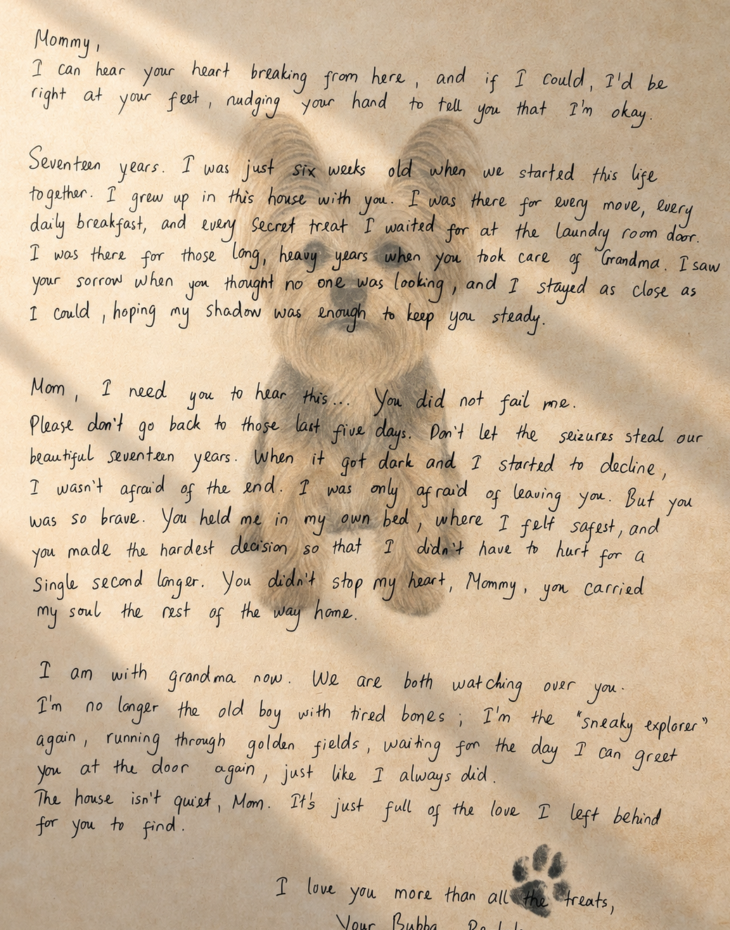 Personalized Letters From Your Pet Angel