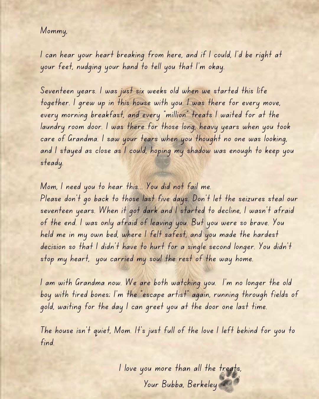 Personalized Letters from Your Pet Angel