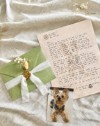 Personalized Letters from Your Pet Angel