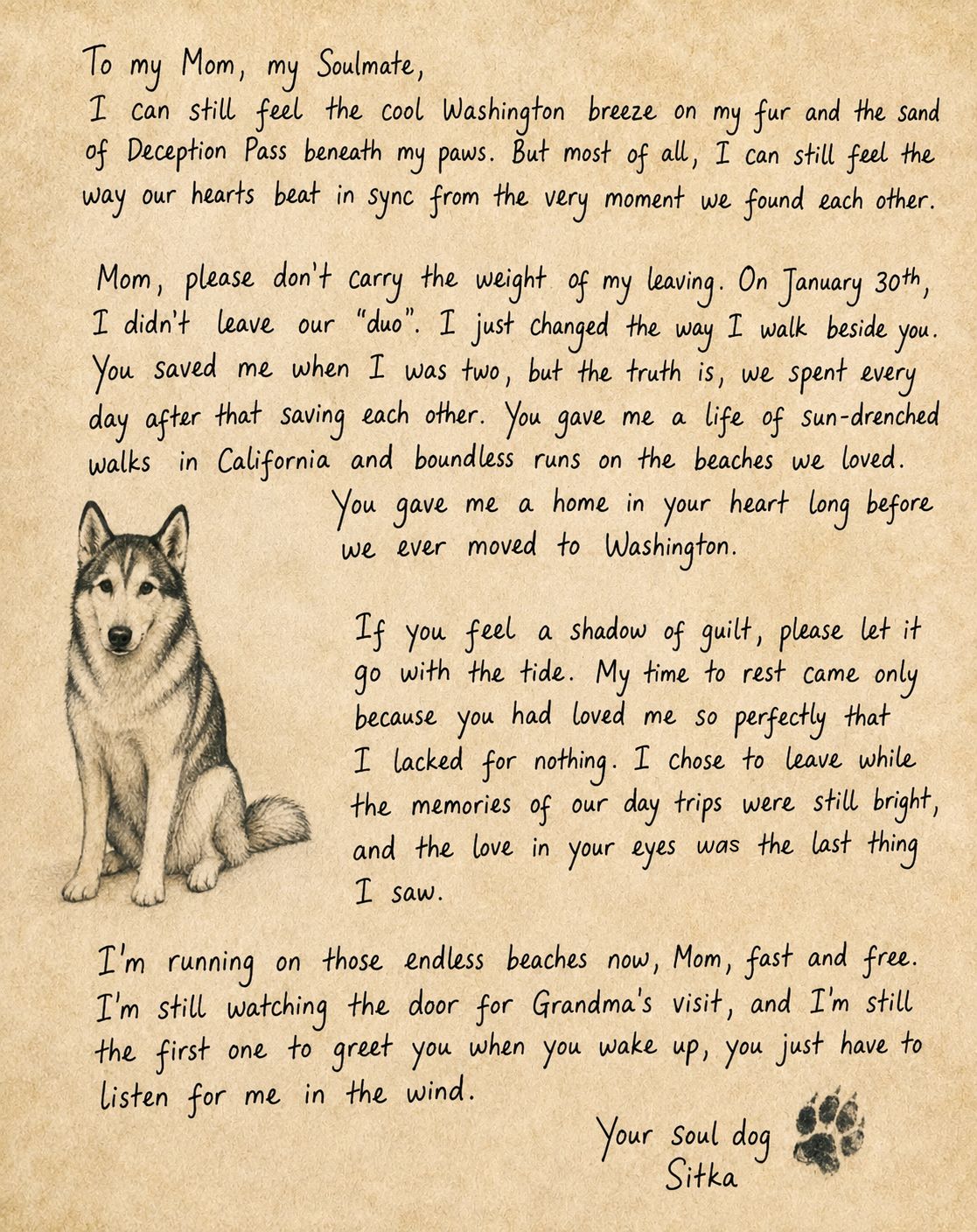 Personalized Letters From Your Pet Angel